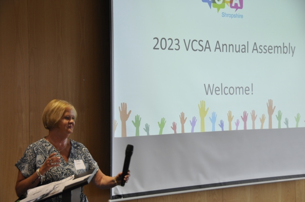 julie mellor vcsa co-chair